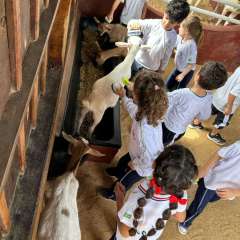 2025-passeio-zoo-instituto-sao-piox-29