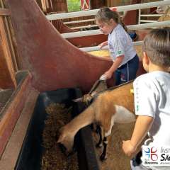 2025-passeio-zoo-instituto-sao-piox-34