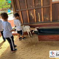 2025-passeio-zoo-instituto-sao-piox-37