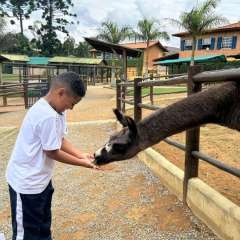 2025-passeio-zoo-instituto-sao-piox-4