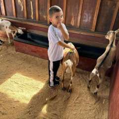 2025-passeio-zoo-instituto-sao-piox-40