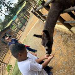 2025-passeio-zoo-instituto-sao-piox-8