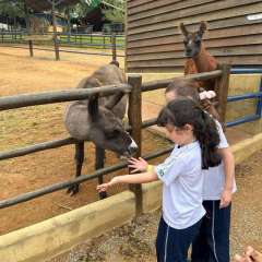 2025-passeio-zoo-instituto-sao-piox-9