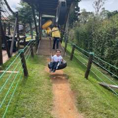 2025-passeio-zoo-2-instituto-sao-piox-106
