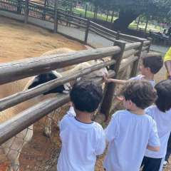2025-passeio-zoo-2-instituto-sao-piox-107