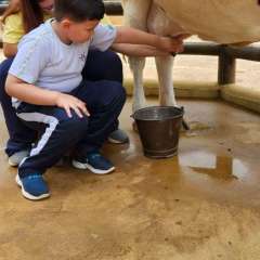2025-passeio-zoo-2-instituto-sao-piox-11