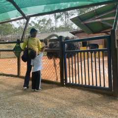 2025-passeio-zoo-2-instituto-sao-piox-118