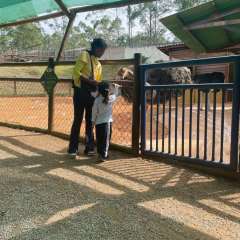 2025-passeio-zoo-2-instituto-sao-piox-119