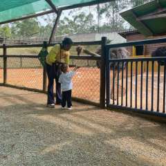 2025-passeio-zoo-2-instituto-sao-piox-121