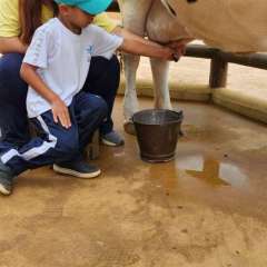 2025-passeio-zoo-2-instituto-sao-piox-7