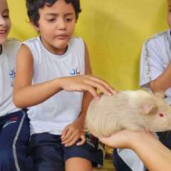 2025-passeio-zoo-2-instituto-sao-piox-73