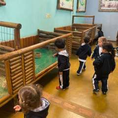 2025-passeio-zoo-2-instituto-sao-piox-90