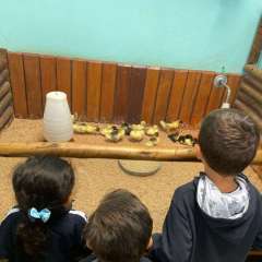 2025-passeio-zoo-2-instituto-sao-piox-92