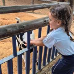 2025-passeio-zoo-instituto-sao-piox-114