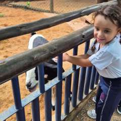 2025-passeio-zoo-instituto-sao-piox-115