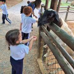2025-passeio-zoo-instituto-sao-piox-118