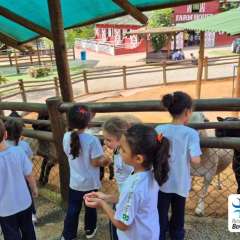 2025-passeio-zoo-instituto-sao-piox-120