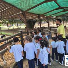 2025-passeio-zoo-instituto-sao-piox-125
