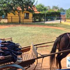 2025-passeio-zoo-instituto-sao-piox-175
