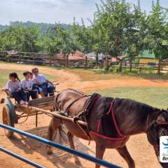 2025-passeio-zoo-instituto-sao-piox-179