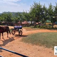 2025-passeio-zoo-instituto-sao-piox-180