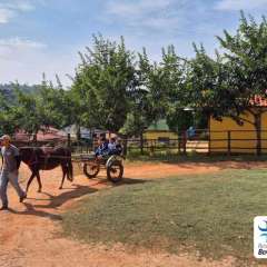 2025-passeio-zoo-instituto-sao-piox-183