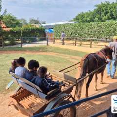 2025-passeio-zoo-instituto-sao-piox-184
