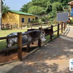 2025-passeio-zoo-instituto-sao-piox-185