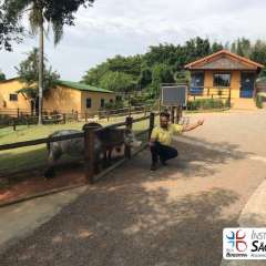 2025-passeio-zoo-instituto-sao-piox-3