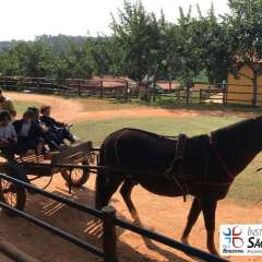 2025-passeio-zoo-instituto-sao-piox-4