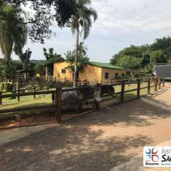 2025-passeio-zoo-instituto-sao-piox-8