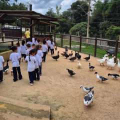 2025-passeio-zoo-instituto-sao-piox-87