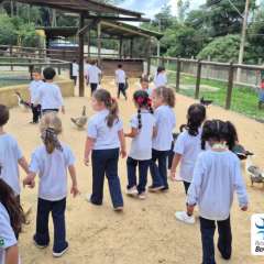 2025-passeio-zoo-instituto-sao-piox-90