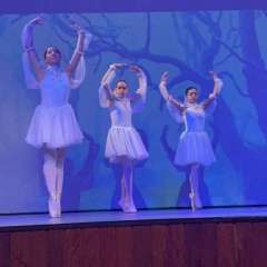 2025-bale-instituto-sao-piox-osasco-65