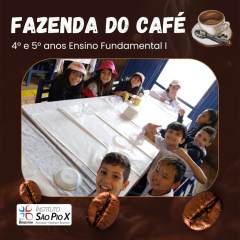 2024-fazenda-cafe-5e4ano-piox-7