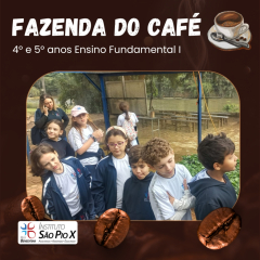 2024-fazenda-cafe-piox-11