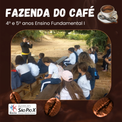 2024-fazenda-cafe-piox-3