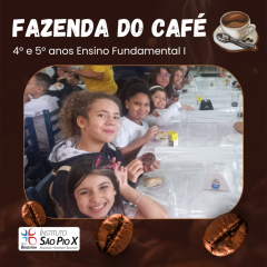 2024-fazenda-cafe-piox-4