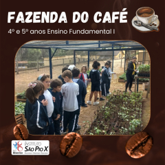 2024-fazenda-cafe-piox-5