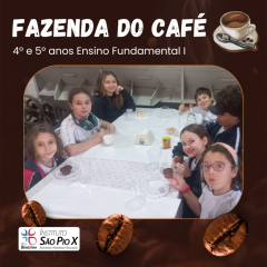 2024-fazenda-cafe-piox-6