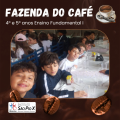 2024-fazenda-cafe-piox-7