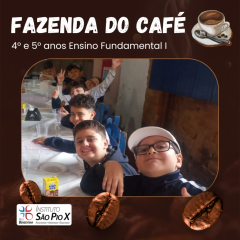 2024-fazenda-cafe-piox-8