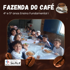 2024-fazenda-cafe-piox-9