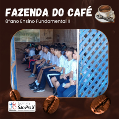 2024-fazenda-cafe-piox-2