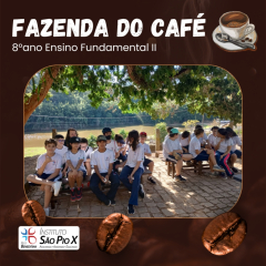 2024-fazenda-cafe-piox-3