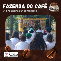 2024-fazenda-cafe-piox-4