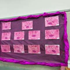 2025-feira-conhecimento-instituto-sao-piox-osasco-121