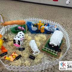 2025-feira-conhecimento-instituto-sao-piox-osasco-132