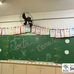 2025-festa-pijama-instituto-sao-piox-osasco-66