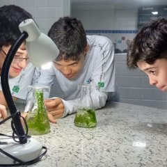2023-fotossintese-piox-7